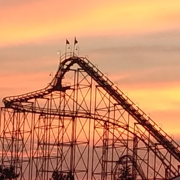 Meet your Posher, Hunny - Picture 3 of 11